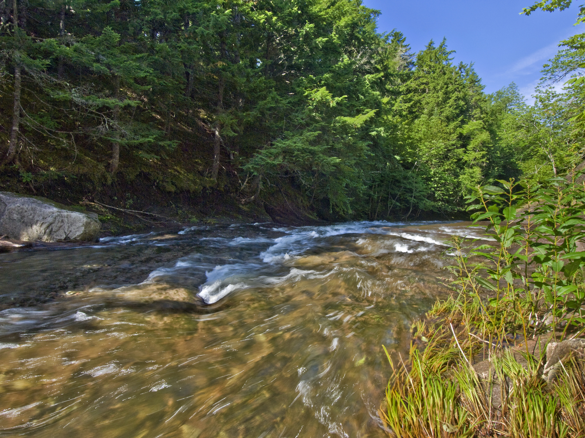 Matheson Brook